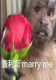 主卧窗帘哪个好看